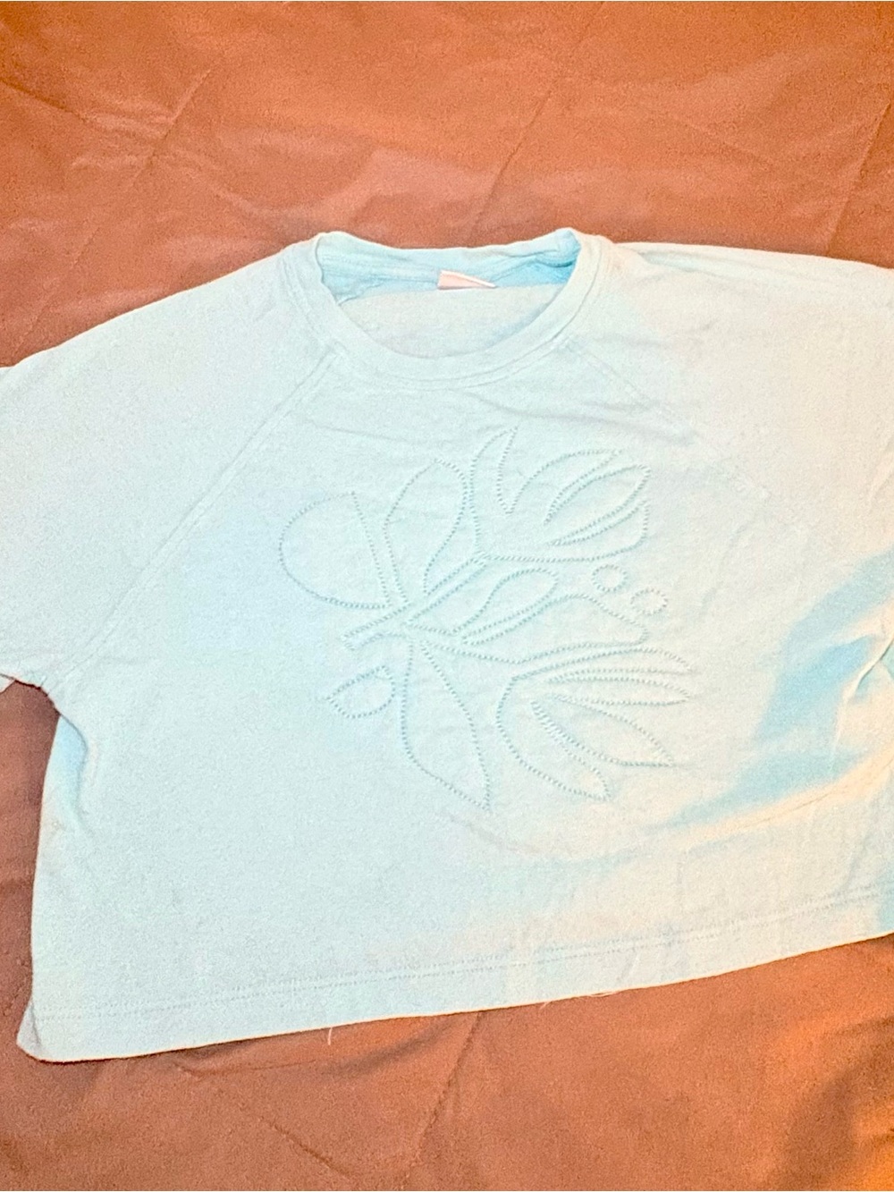 Zara Light Blue Embroidered Crop Top for Kids